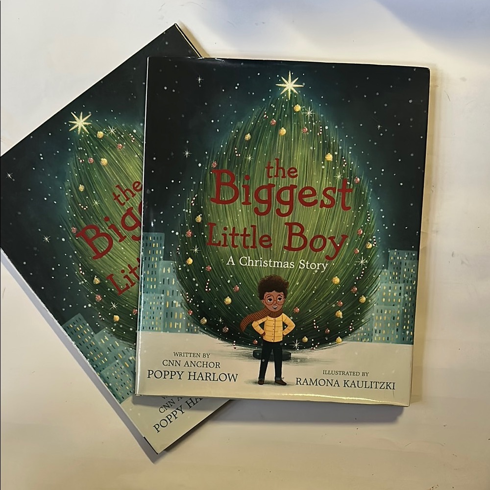 The Biggest Little Boy: A Christmas Story by Poppy Harlow